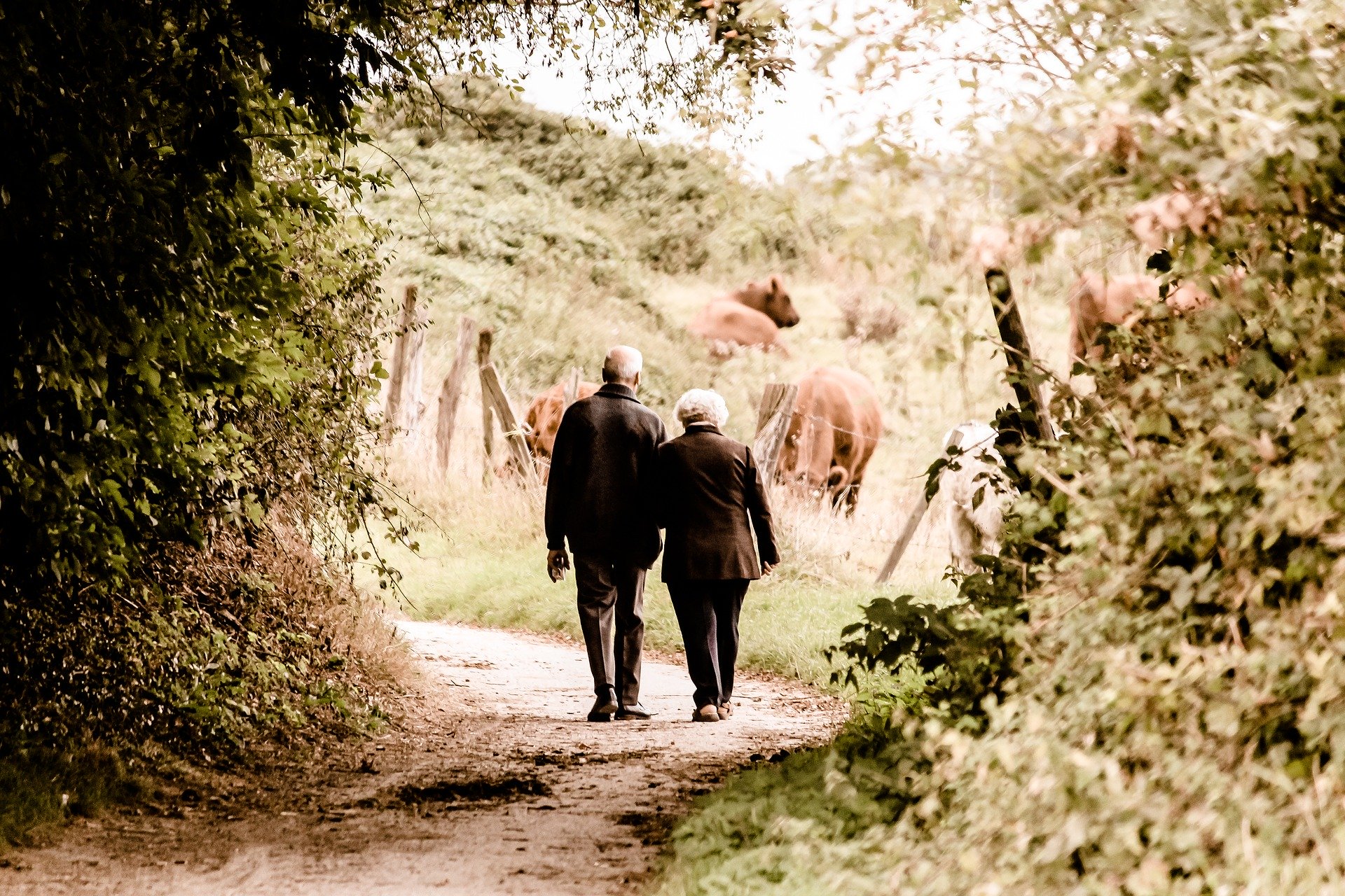 An elderly couple walk down a country lane.